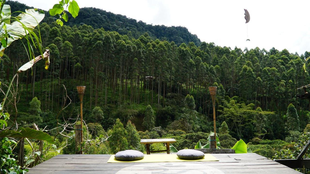 Creo Ecolodge Jardín Εξωτερικό φωτογραφία
